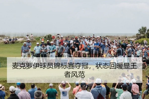 mai-ke-luo-yi-qiu-yuan-jin-biao-sai-duo-guan-zhuang-tai-hui-nuan-xian-wang-zhe-feng-fan-2-266.jpg